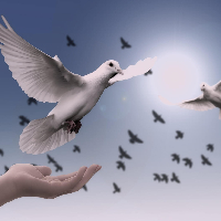 Kirsti Mathilde Liseth